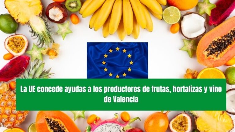 La UE concede ayudas a los productores de frutas, hortalizas y vino de Valencia