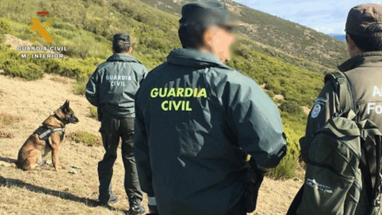 INTEROVIC condena la venta ilegal de carne y aplaude la intervención del SEPRONA