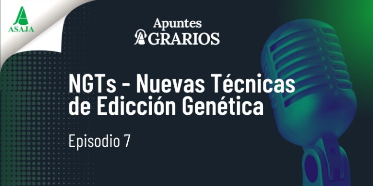 EP.7 – NGTs