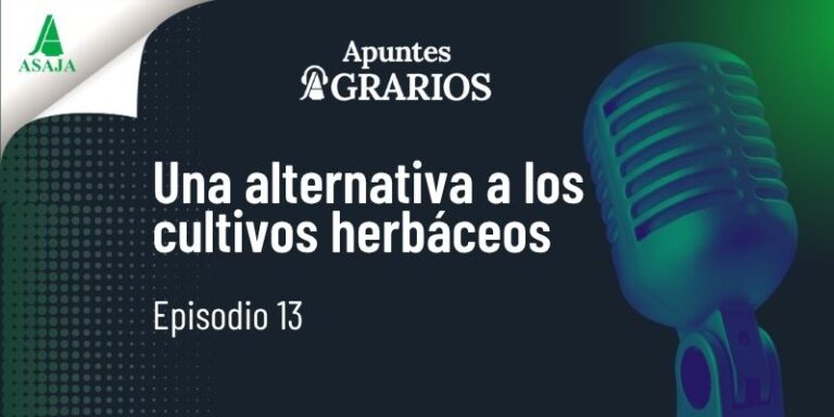 EP.13 – Una alternativa a los cultivos herbáceos
