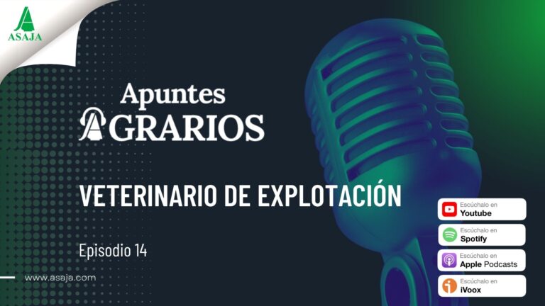 EP.14 – Veterinario de explotación