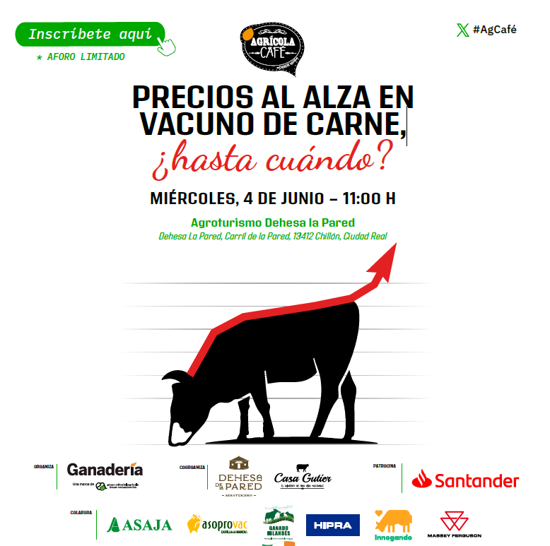 Agrícola Cafe: Precios al alza en vacuno de carne