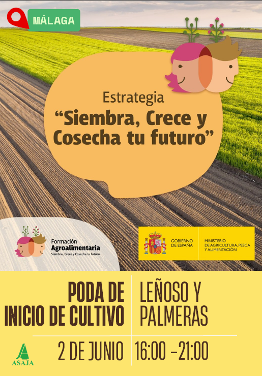 Poda de inicio de cultivo: leñoso y palmeras