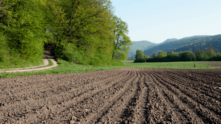 Aprobada la modificación del Plan Estratégico de la PAC con cambios clave en agrivoltaica y ecorregímenes