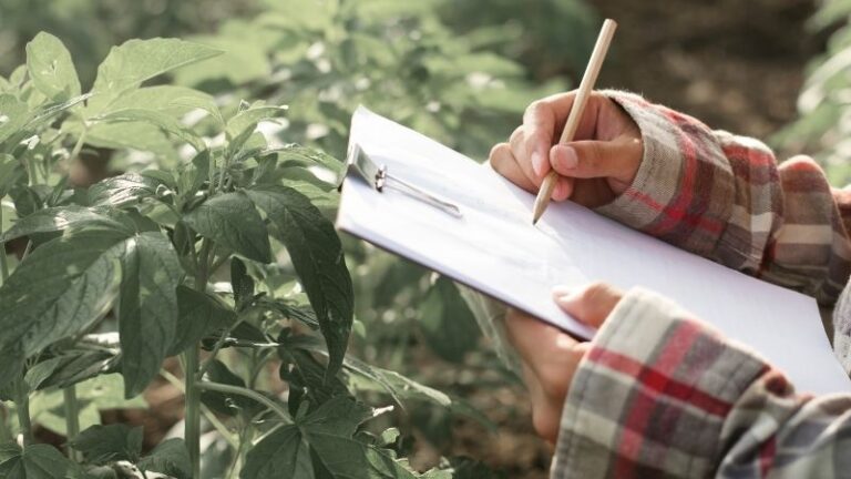 2025: Necesidad urgente de reactivar la producción agrícola europea