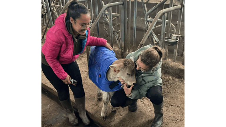 Ganadería Ecológica en Murias de Paredes: Carne de alta calidad con innovación y sostenibilidad
