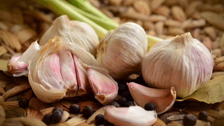 Comienza la campaña del ajo con mayor calidad del producto