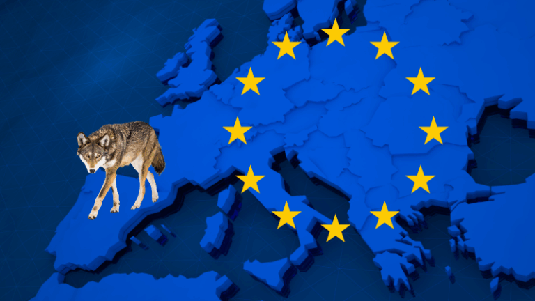 ASAJA EXIGE QUE SE CUMPLA EL MANDATO DE LA UE Y DEL CONGRESO