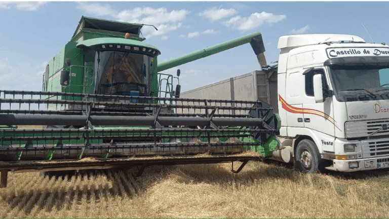 ASAJA Valladolid exige a la Consejería de Agricultura inspecciones de oficio para evitar ventas de cereal por debajo de costes de producción