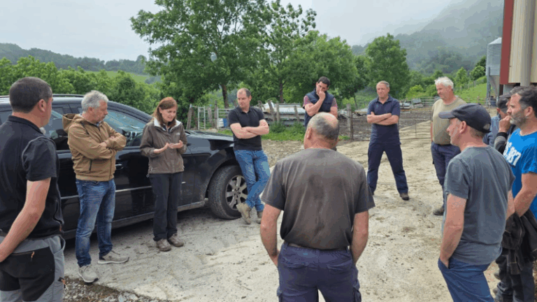 UAGN alerta al Gobierno de Navarra por el aumento de ataques de buitres al ganado