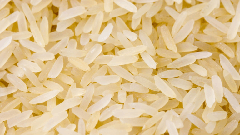 Farm Europe exige salvaguarda automática para proteger el arroz europeo
