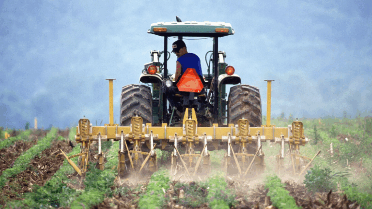 Opinión, Farm Europe: 2025, ¿túnel sin fin o llamada de atención?
