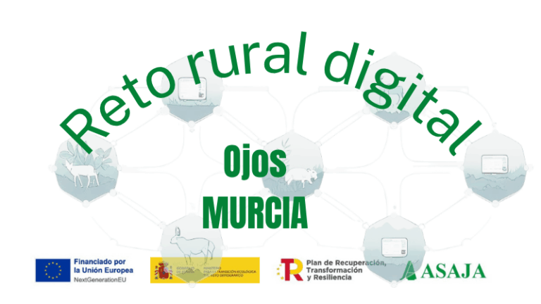 CURSO: la inteligencia artificial aplicada a la ofimática ( nivel básico)
