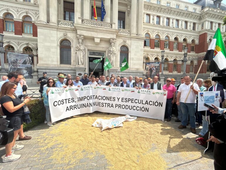 El campo exige al Gobierno salvar al cereal español: costes disparados, precios hundidos y competencia desleal