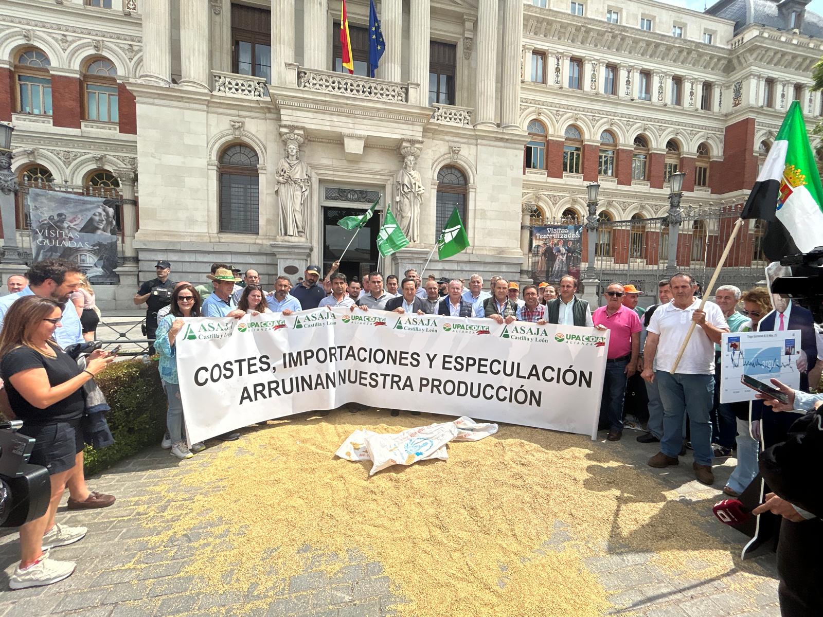 El campo exige al Gobierno salvar al cereal español: costes disparados, precios hundidos y competencia desleal