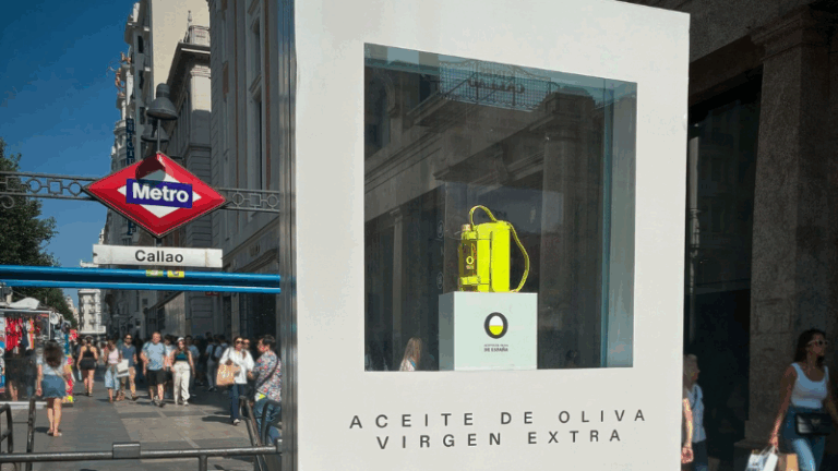 Roban pieza clave de la campaña de Aceites de Oliva de España