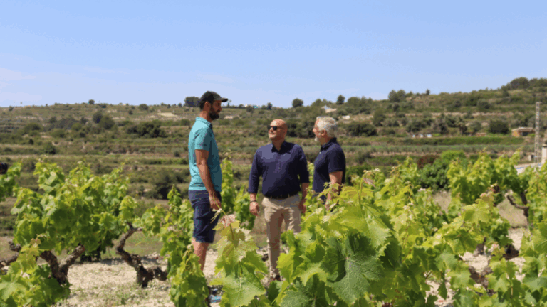 ASAJA Alicante reconocerá seis iniciativas agrarias destacadas durante la Noche de la Agricultura Alicantina