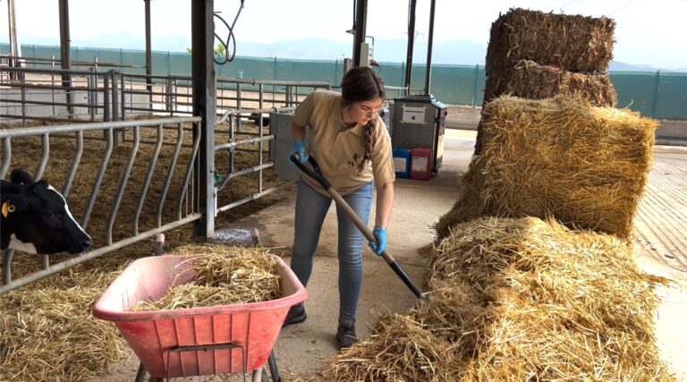 AVA-ASAJA convoca reuniones para asesorar sobre las nuevas ayudas a jóvenes y nuevos agricultores de hasta 56 años