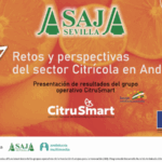 ASAJA-Sevilla analiza los desafíos del sector citrícola andaluz en su XVII Jornada de Cítricos