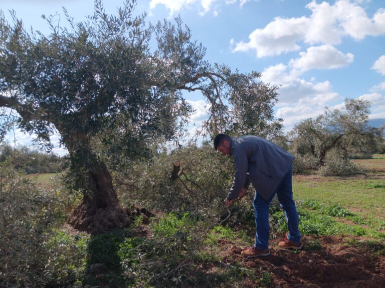 CEJA rechaza la idea de los objetivos ambiciosos para los jóvenes agricultores