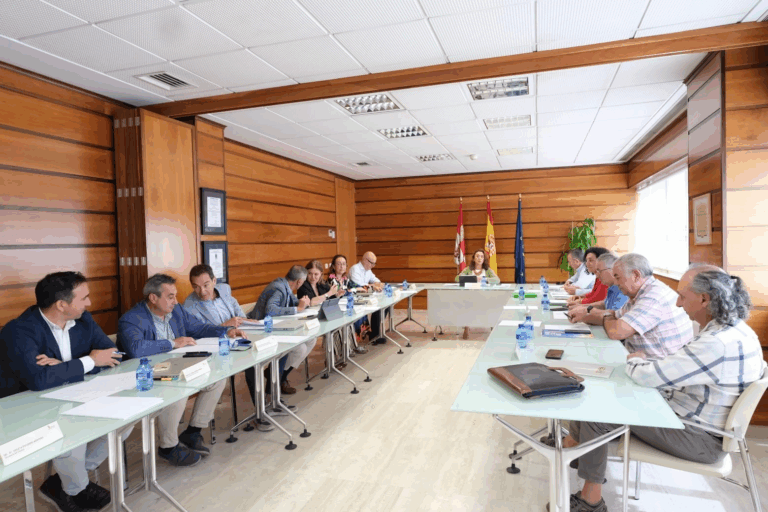 Dujo: “La nueva PAC supondrá menos dinero y peor repartido para los agricultores y ganaderos de Castilla y León”