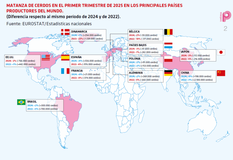 España lidera el crecimiento en el sector porcino mientras refuerza medidas de bioseguridad