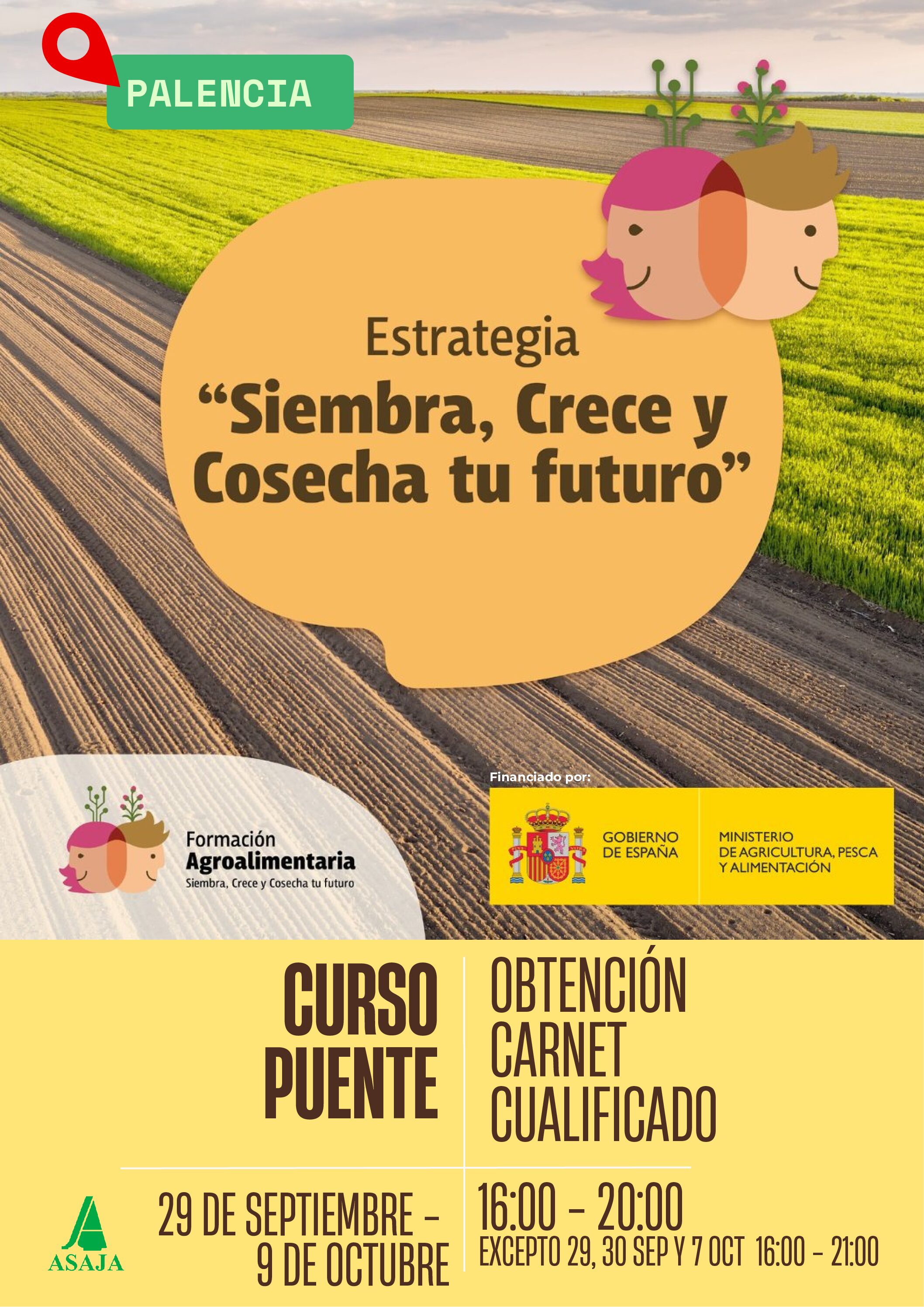 Curso puente, para obtener carnet cualificado