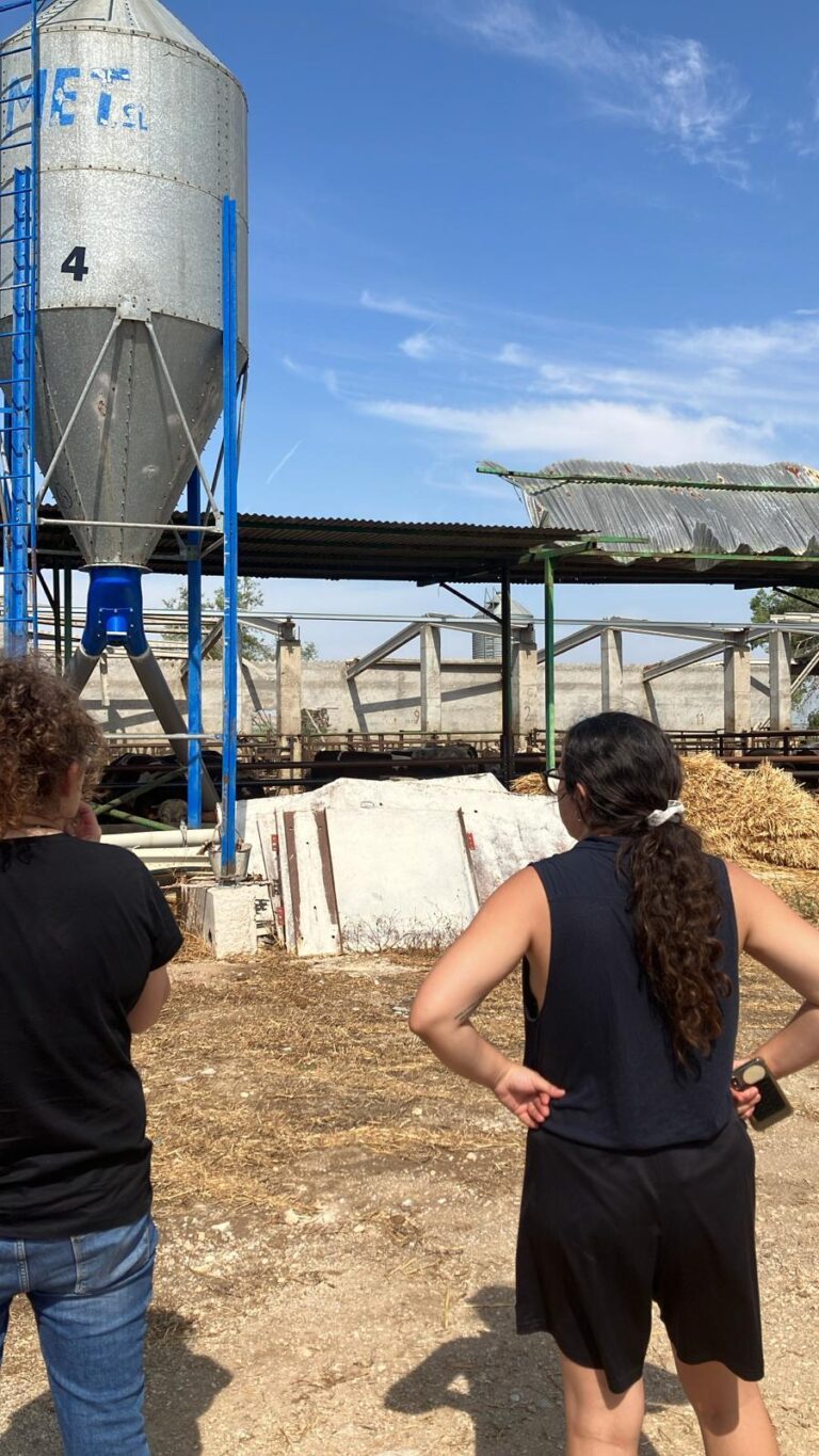 La fuerza extrema del viento arrasa 2000 hectáreas de cultivo en Monegros 
