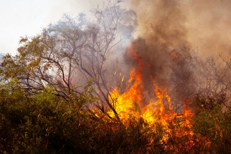 ASAJA Rioja ARAG denuncia que se culpe a los agricultores como causantes de los incendios forestales