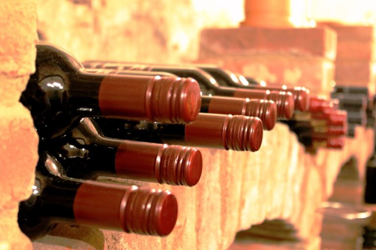 ARAG ASAJA reclama negociar hasta el último momento para excluir el vino y otros productos agrícolas del acuerdo arancelario entre Europa y EE.UU. 