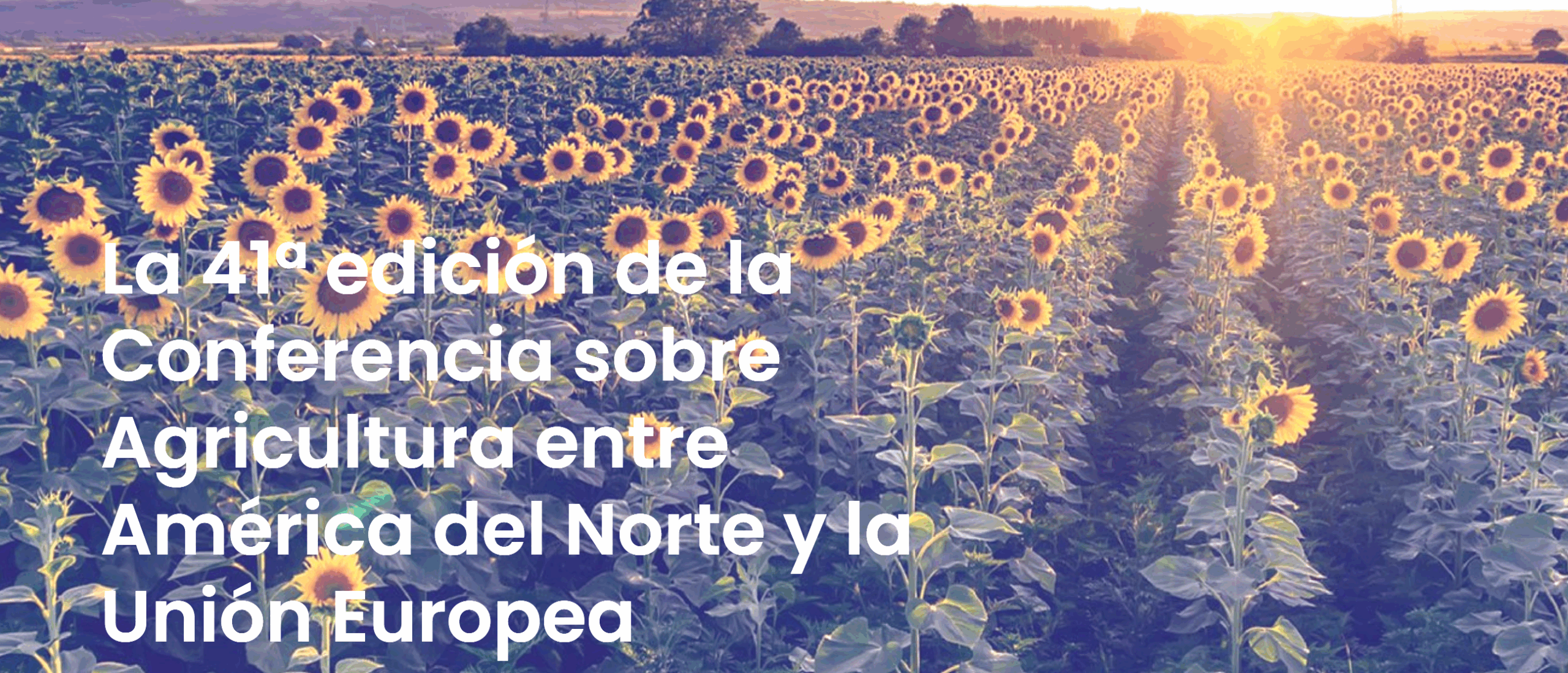 El presidente de ASAJA participa en la Conferencia Agrícola Norteamérica-UE con una ponencia