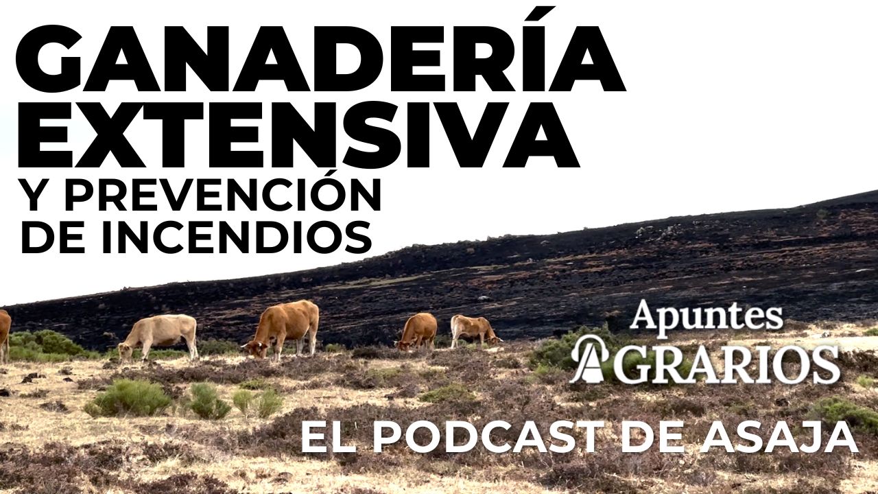 EP.19 –  Ganadería extensiva y prevención de incendios