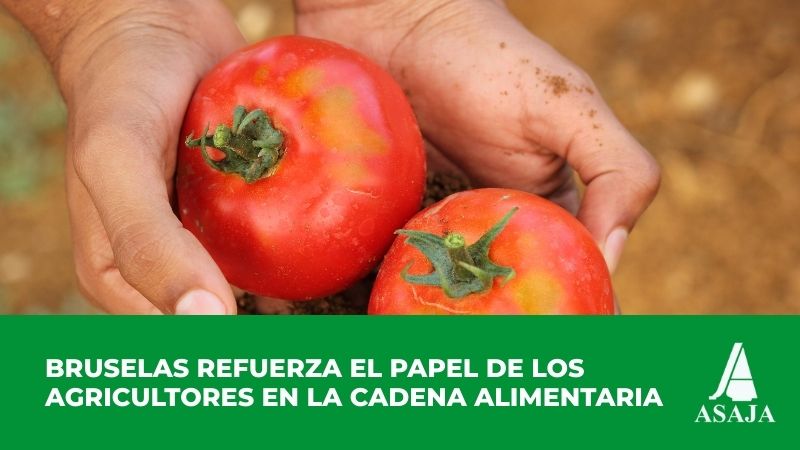 Bruselas da un paso clave para blindar a los agricultores en la cadena ...