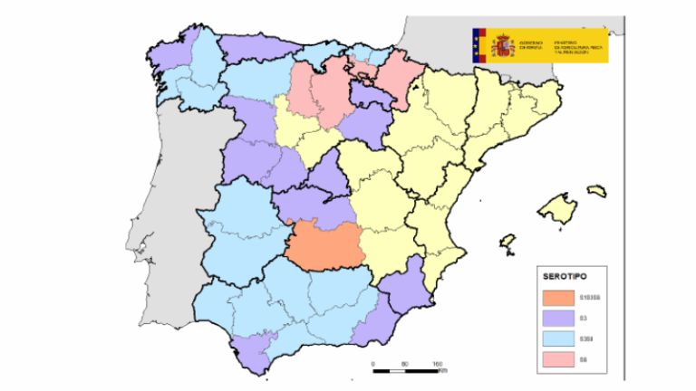 Lengua azul en España: nuevos focos y llamada urgente a la vacunación preventiva