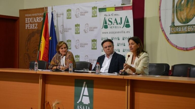 43ª Jornada de Aceituna de Mesa de ASAJA-Sevilla: la falta de lluvia retrasa el verdeo y recorta la producción a 495.000 t
