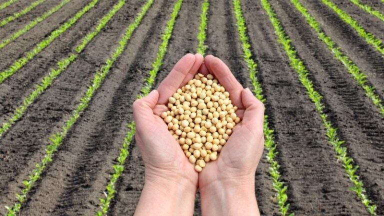 Pedro Barato (ASAJA) interviene en la NA–EU Agriculture Conference para defender simplificación, innovación y relevo generacional
