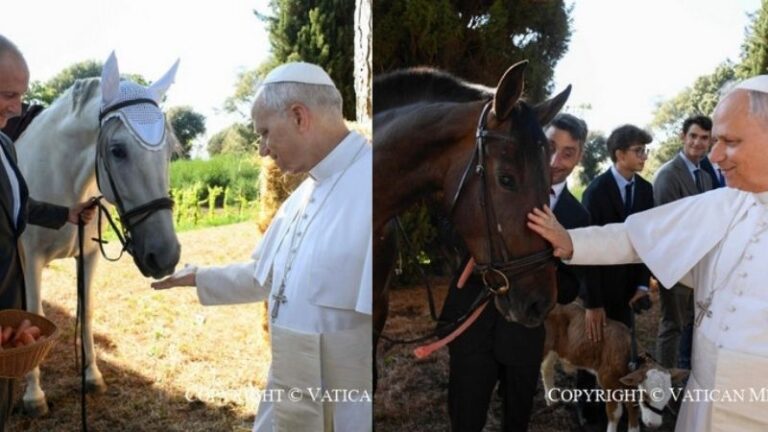España presume del Pura Raza Española en el Vaticano