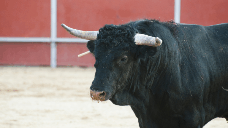 El Tribunal Supremo anula la exclusión de la tauromaquia del Bono Cultural Joven