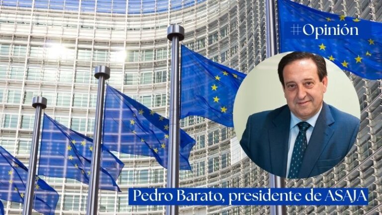 La falsa seguridad en las fronteras europeas: solo el 0,0082 % de los productos importados son inspeccionados