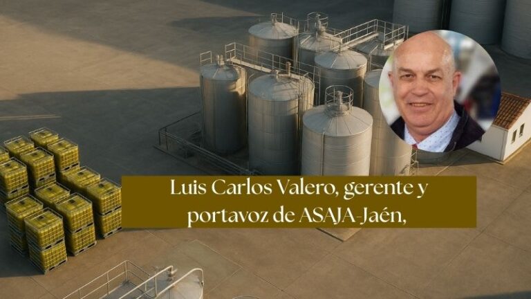 El enlace de campaña, a la espera de las salidas de septiembre, será algo inferior a las 300.000 toneladas