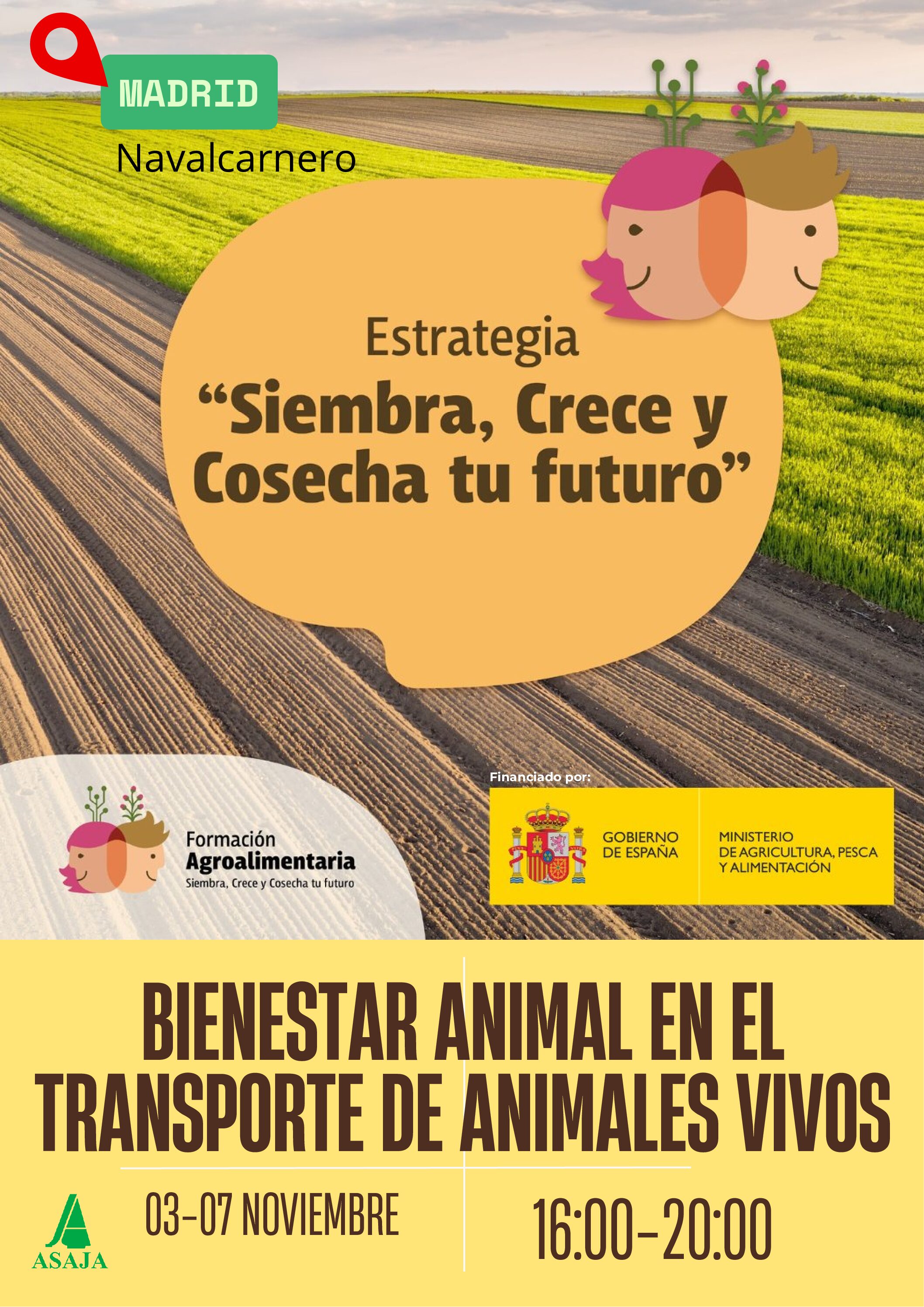 Bienestar animal en el transporte de animales vivos