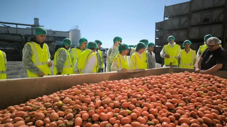 Jóvenes agricultores de Guadalajara visitan Grupo AN en Navarra para formarse en cooperativismo y procesado de hortalizas