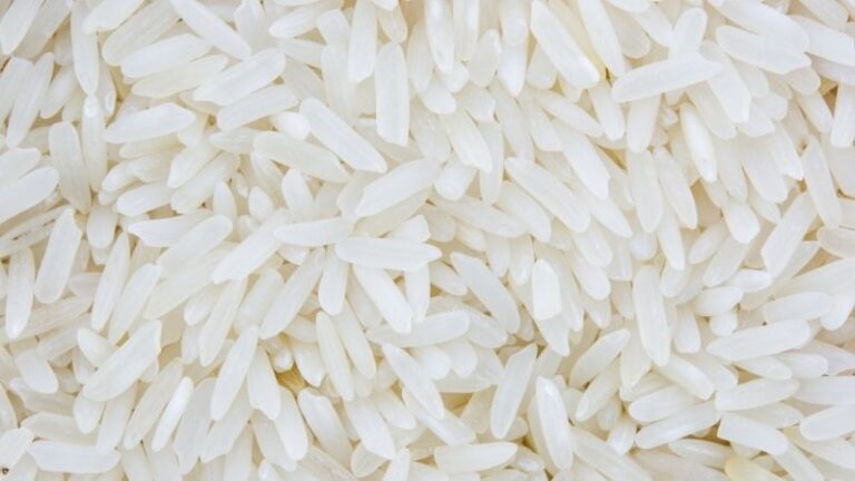 ASAJA pide a la Comisión y al Consejo que no conviertan la cláusula automática de salvaguardia del arroz en un mecanismo inaccesible