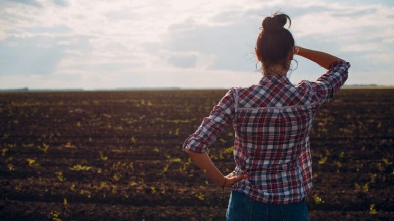 El BOE obliga a documentar los arrendamientos rústicos para cobrar la PAC: ASAJA León alerta de conflictos en el campo