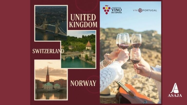 OIVE y Viniportugal lanzan concurso de agencias para su nuevo programa europeo de promoción en Reino Unido, Noruega y Suiza