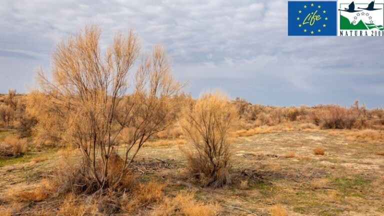 ASAJA ve positivo el sistema de compensaciones por compromisos ambientales del proyecto LIFE Agroestepas Ibéricas