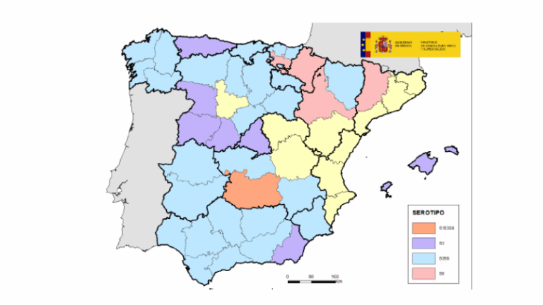 Detectados nuevos focos de lengua azul en Zaragoza y Lleida con serotipo 8 ​