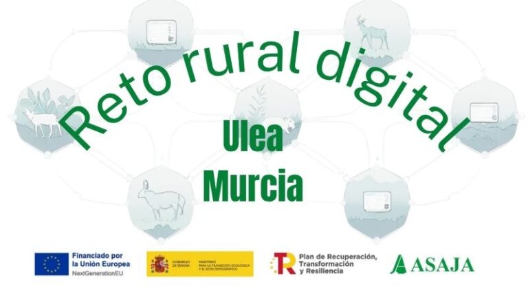 CURSO: la inteligencia artificial aplicada a la ofimática (INTERNET)