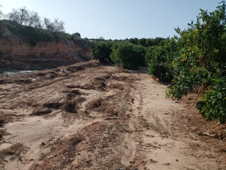 AVA-ASAJA acusa a la CHJ de lastrar las reparaciones de campos afectados por la DANA 