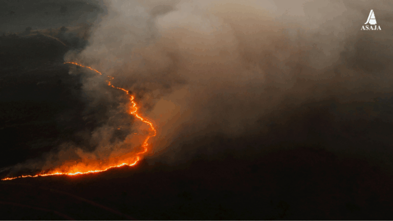 ASAJA considera insuficientes las ayudas aprobadas por el Gobierno para los afectados por los incendios